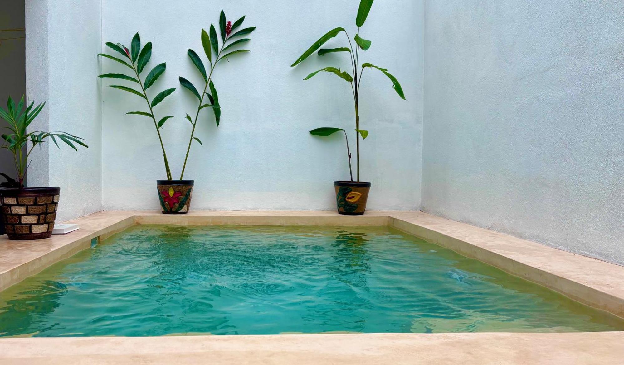 הוילה סיודד ואייס Excelente Alberca Privada En Residencial Privado, Gym, Asador מראה חיצוני תמונה