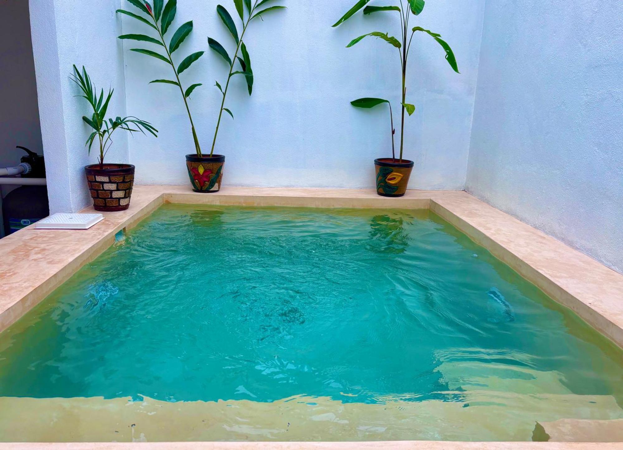 הוילה סיודד ואייס Excelente Alberca Privada En Residencial Privado, Gym, Asador מראה חיצוני תמונה