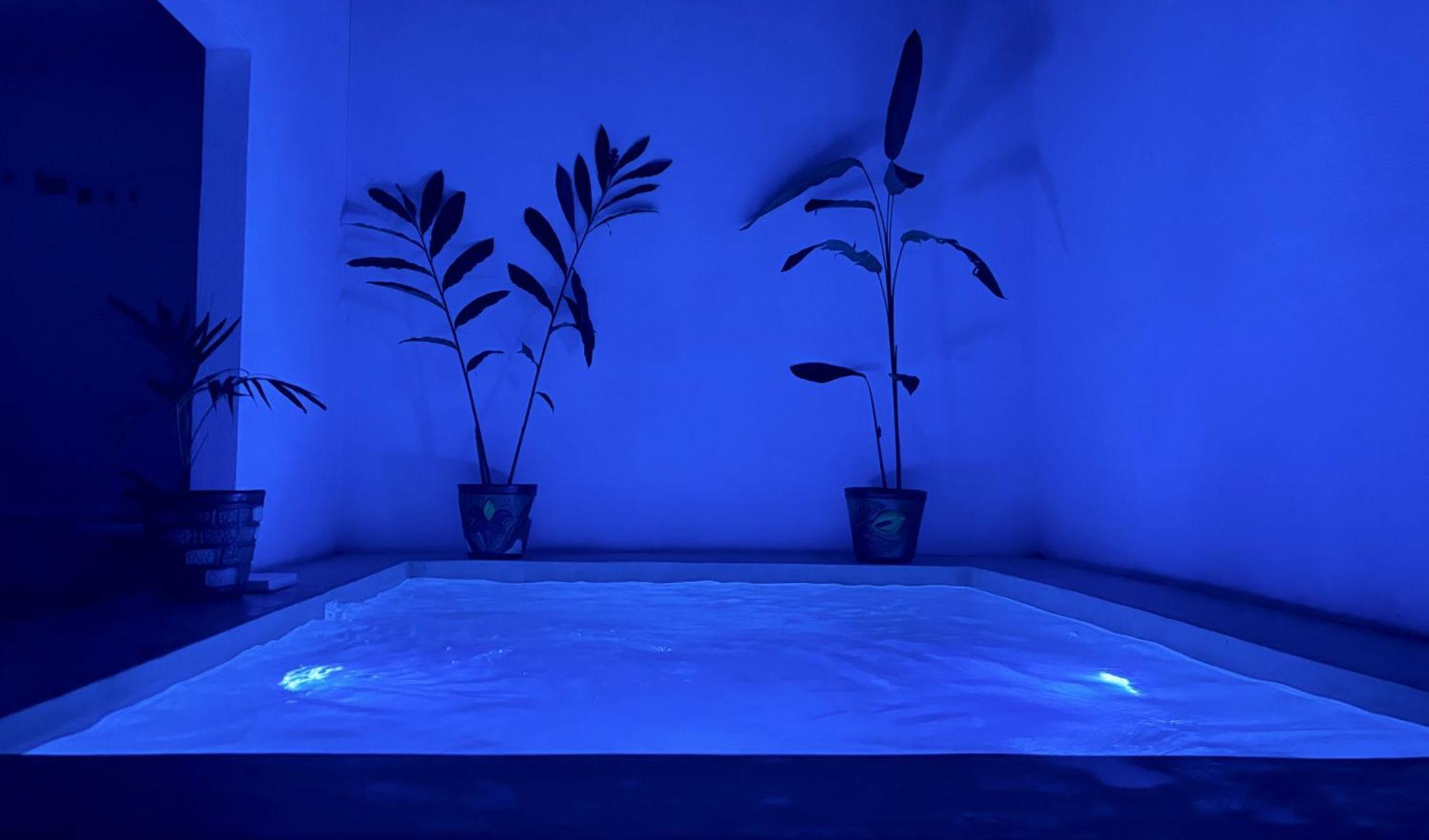 הוילה סיודד ואייס Excelente Alberca Privada En Residencial Privado, Gym, Asador מראה חיצוני תמונה