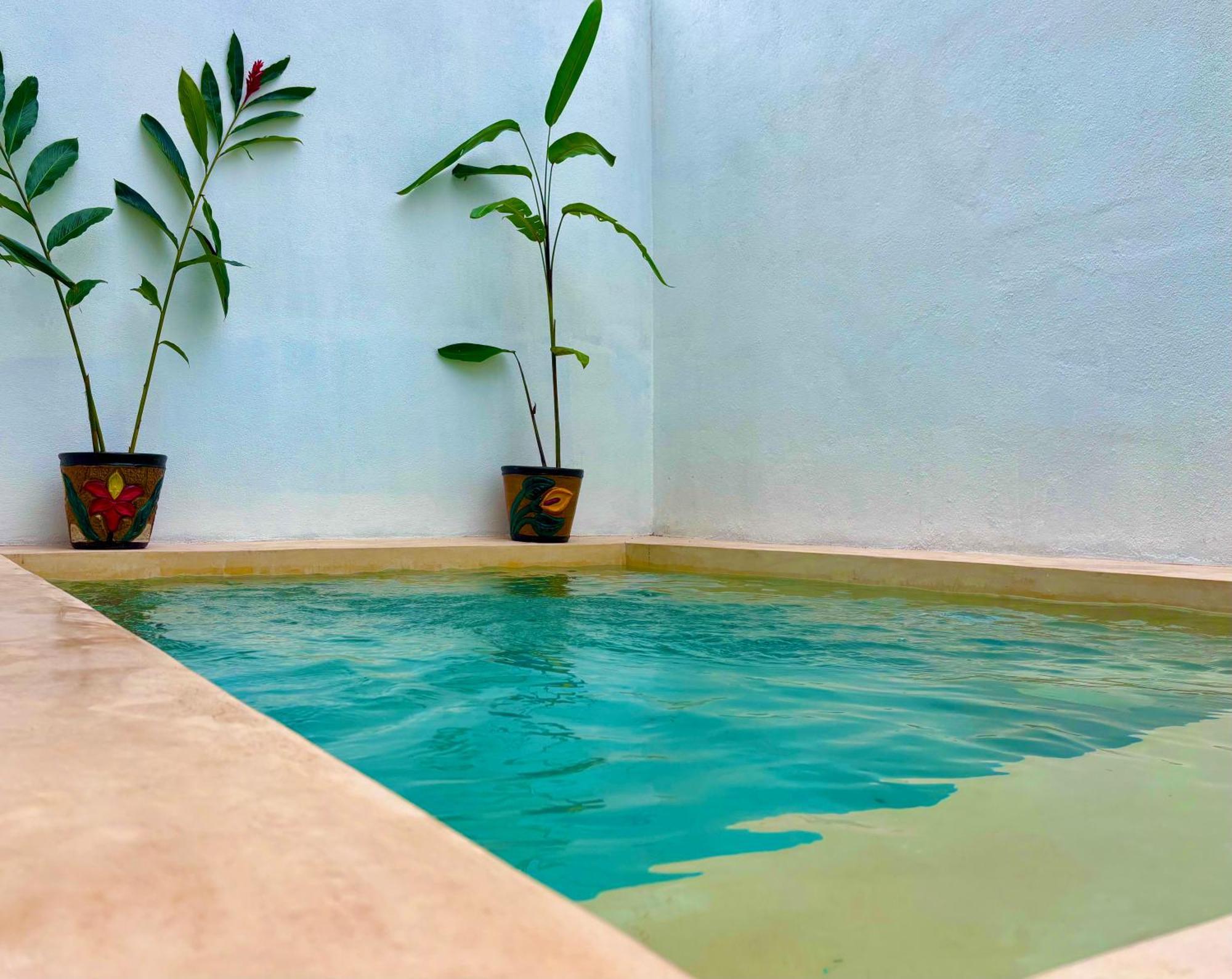 הוילה סיודד ואייס Excelente Alberca Privada En Residencial Privado, Gym, Asador מראה חיצוני תמונה